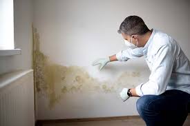 Best Mold Odor Removal Services  in Renovo, PA